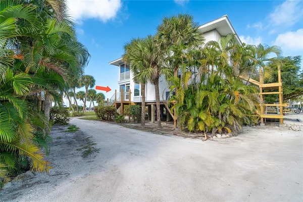 a view of a potted plants next to a road