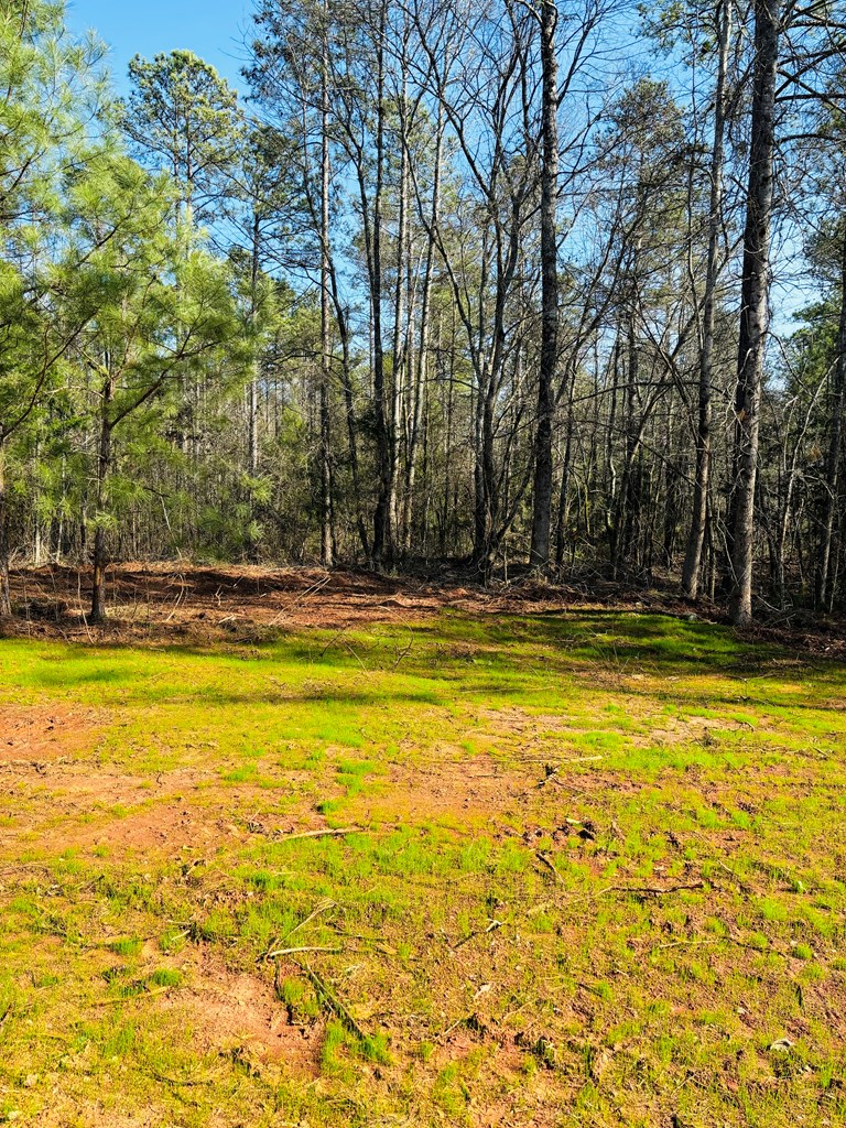 0 Latimer Boat Ramp Road Calhoun Falls, SC 29628 - Photo 11 of 19 Gallery Image 11