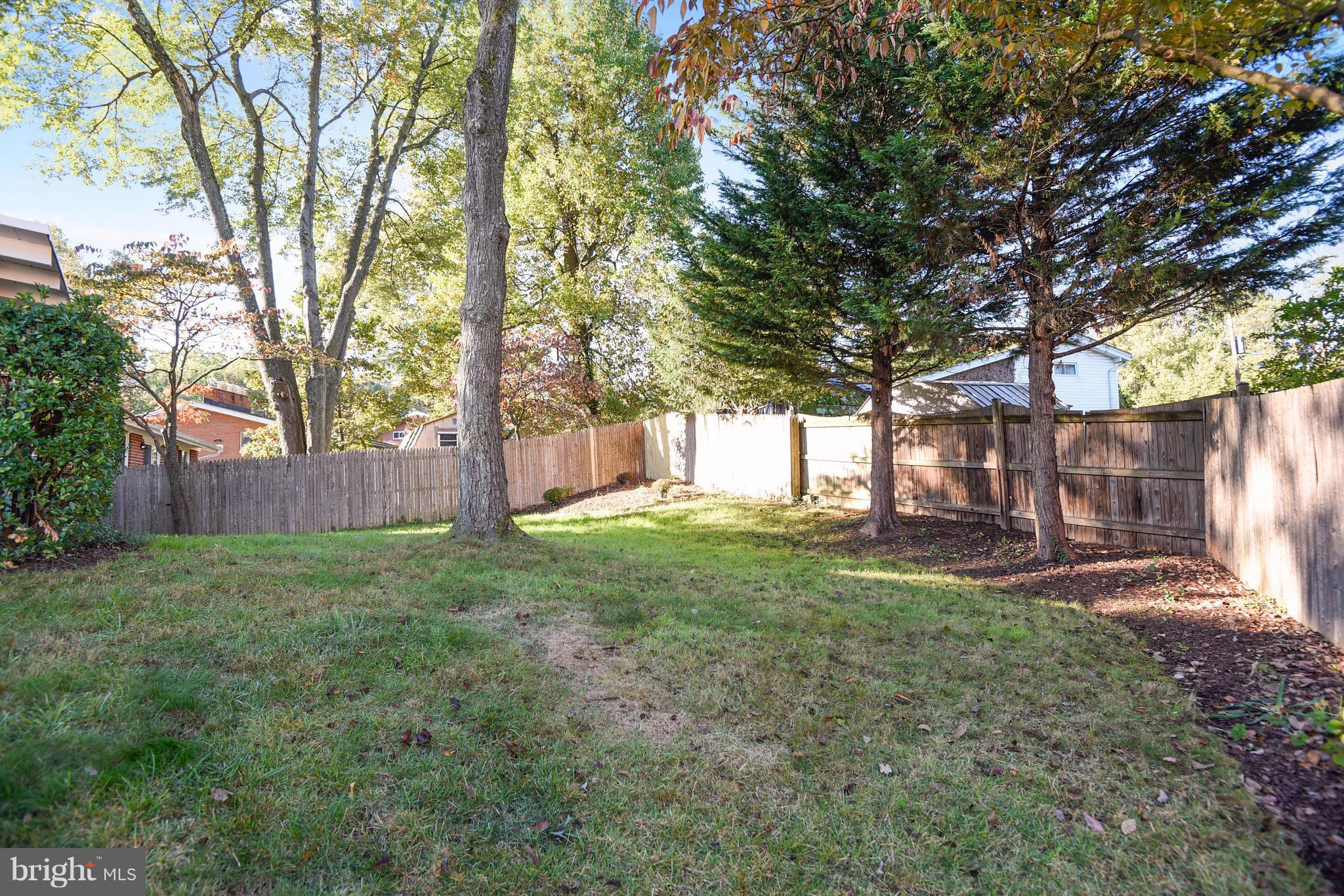 704 North Belgrade Road Silver Spring, MD 20902 - Photo 2 of 24 Exterior (Rear)