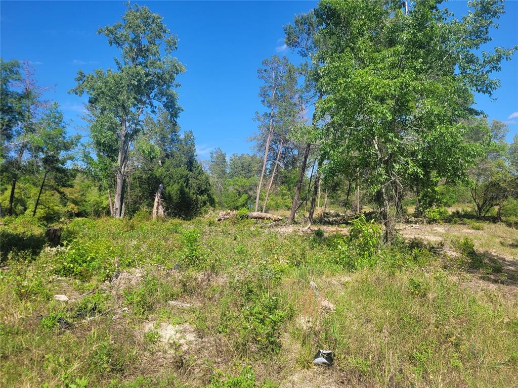 0 Southwest 159th Street Ocala, FL 34473 - Photo 1 of 1