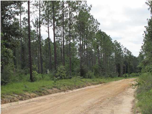 E-3 E-3 Plantation Road DeFuniak Springs, FL 32433 - Photo 2 of 3 Additional Photo