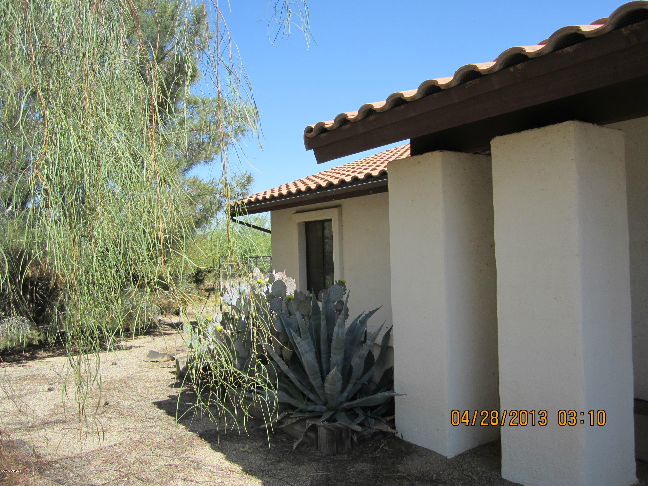 731 East Maddock Road Phoenix, AZ 85086 - Photo 3 of 19 a view of a house with a potted plant