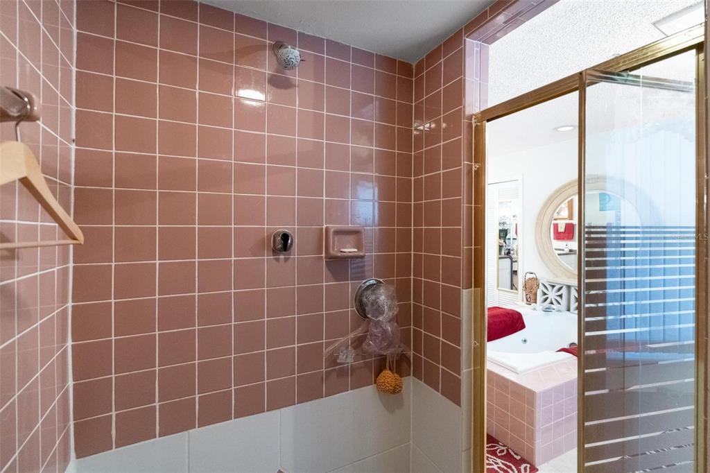 1245 Curlew Road Dunedin, FL 34698 - Photo 18 of 42 a bathroom with a bathtub and shower