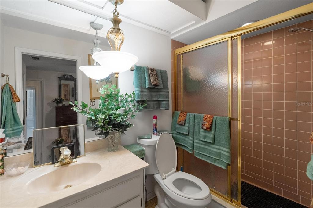 1245 Curlew Road Dunedin, FL 34698 - Photo 21 of 42 a bathroom with a sink a toilet and shower