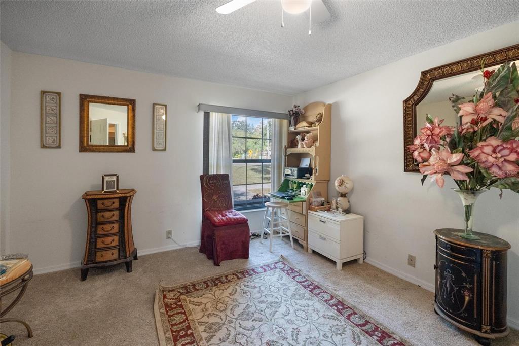 1245 Curlew Road Dunedin, FL 34698 - Photo 23 of 42 a living room with furniture and a potted plant