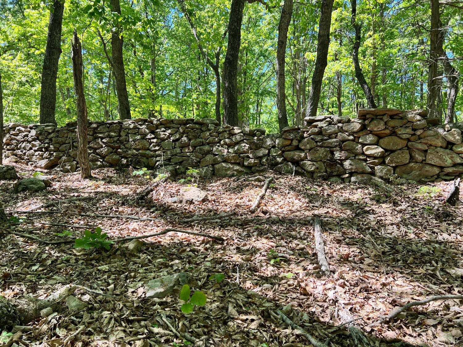 298 Braxton Ridge Road Amherst, VA 24521 - Photo 57 of 65 a view of a green field