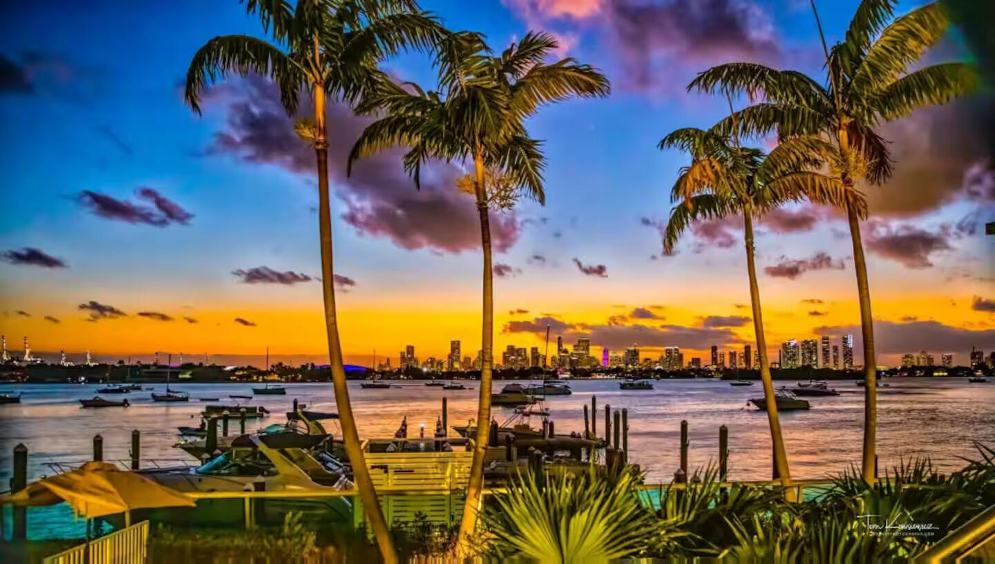 1500 Bay Road, Unit 1244S Miami Beach, FL 33139 - Photo 47 of 48 a view of a lake with palm trees