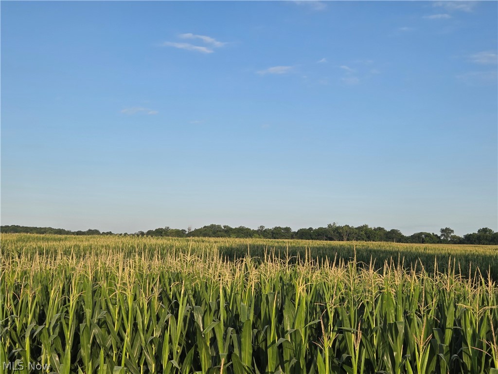 Arbella Road La Rue, OH 43332 - Photo 4 of 4 Expansive agricultural land featuring a thriving cornfield and distant tree line under a clear sky