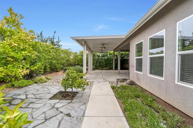 a view of a house with potted plants