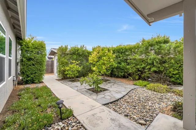 a view of a garden with pathway