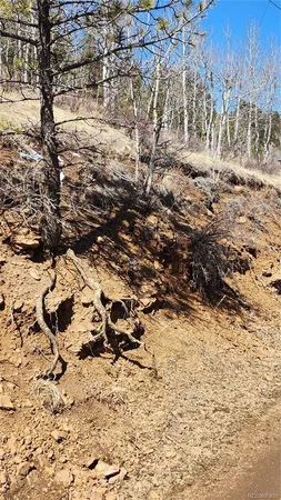 $15,000 | 267 Ward Street, Bailey, CO 80421