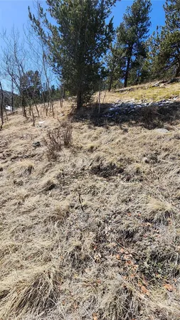 $15,000 | 267 Ward Street, Bailey, CO 80421