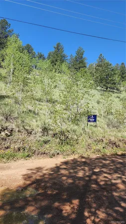 $15,000 | 267 Ward Street, Bailey, CO 80421