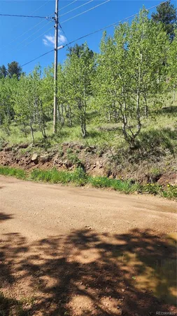 $15,000 | 267 Ward Street, Bailey, CO 80421