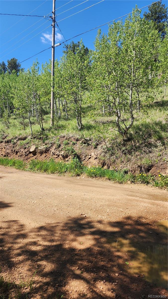 267 Ward Street Bailey, CO 80421 - Photo 6 of 13