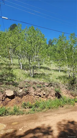 $15,000 | 267 Ward Street, Bailey, CO 80421