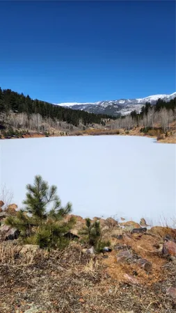 $15,000 | 267 Ward Street, Bailey, CO 80421