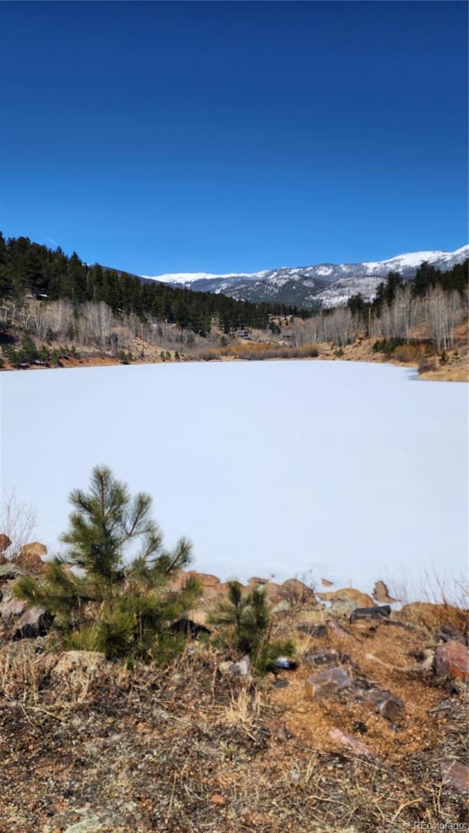 267 Ward Street Bailey, CO 80421 - Photo 8 of 13