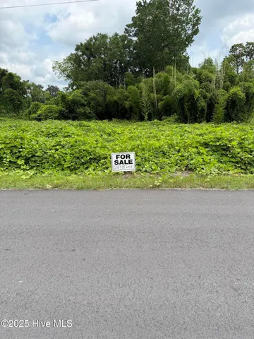 $30,000 | 117 Jenkins Avenue, Maysville, NC 28555