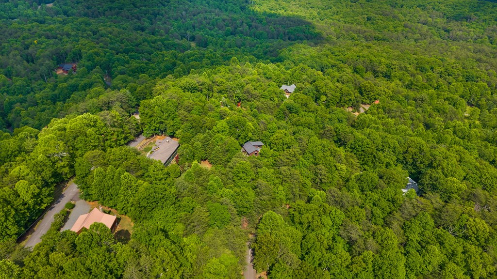220 Blue Ridge Trail Morganton, GA 30560 - Photo 57 of 58