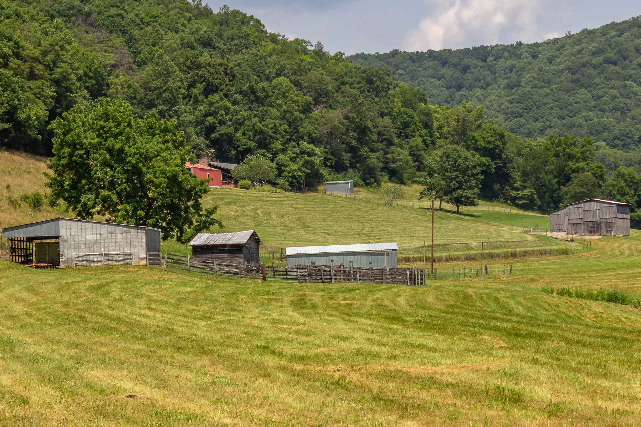 1448 Porter Johns Road Tazewell, TN 37879 - Photo 12 of 41 11