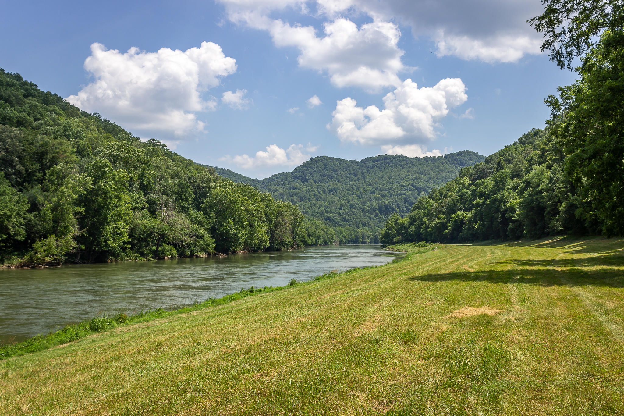 1448 Porter Johns Road Tazewell, TN 37879 - Photo 3 of 41 2
