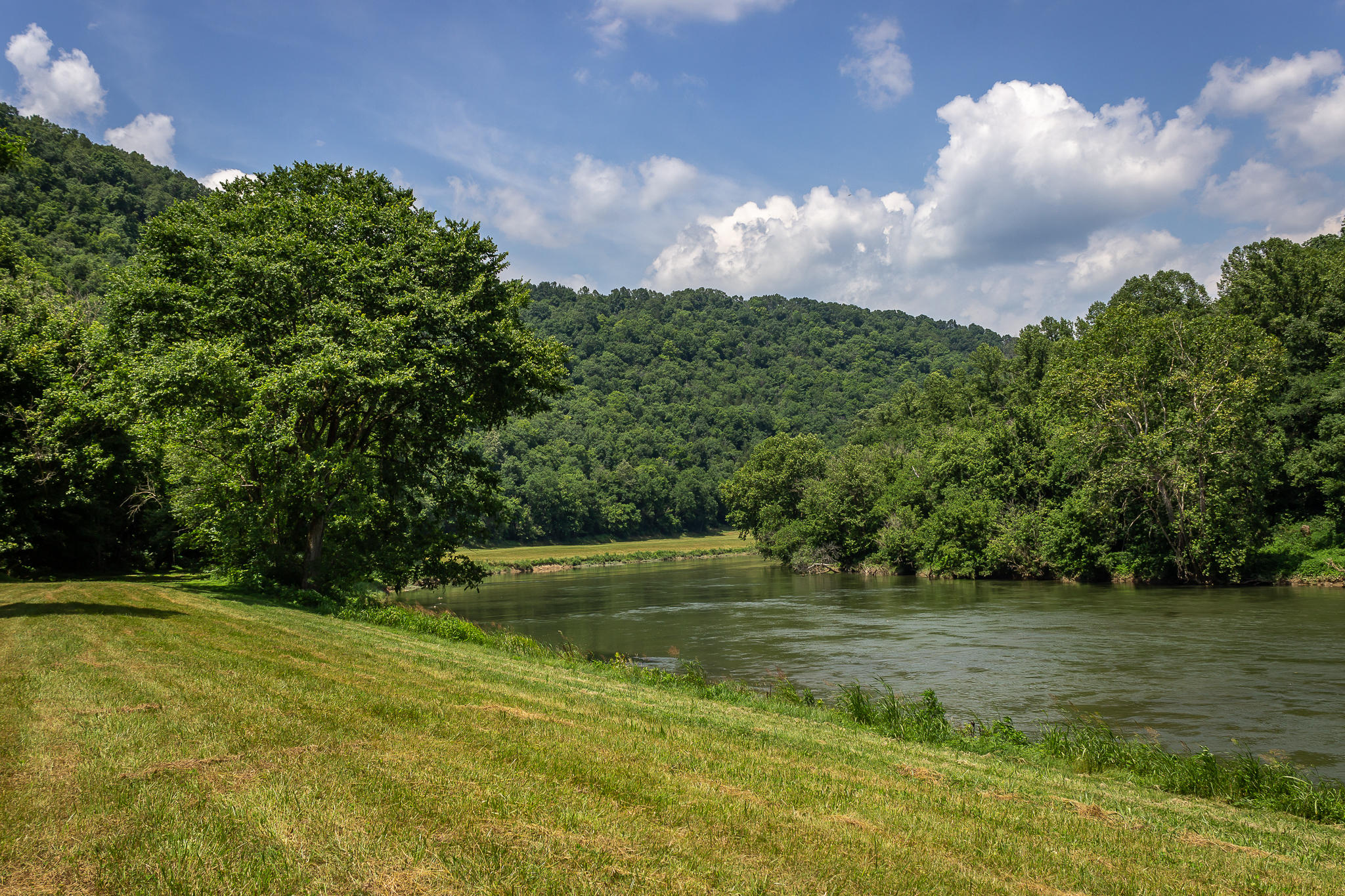 1448 Porter Johns Road Tazewell, TN 37879 - Photo 4 of 41 3
