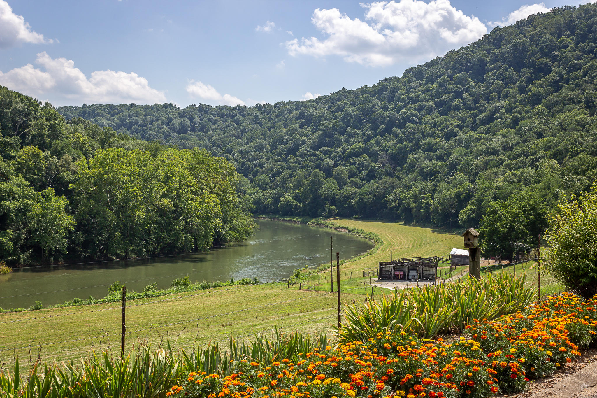 1448 Porter Johns Road Tazewell, TN 37879 - Photo 37 of 41 36