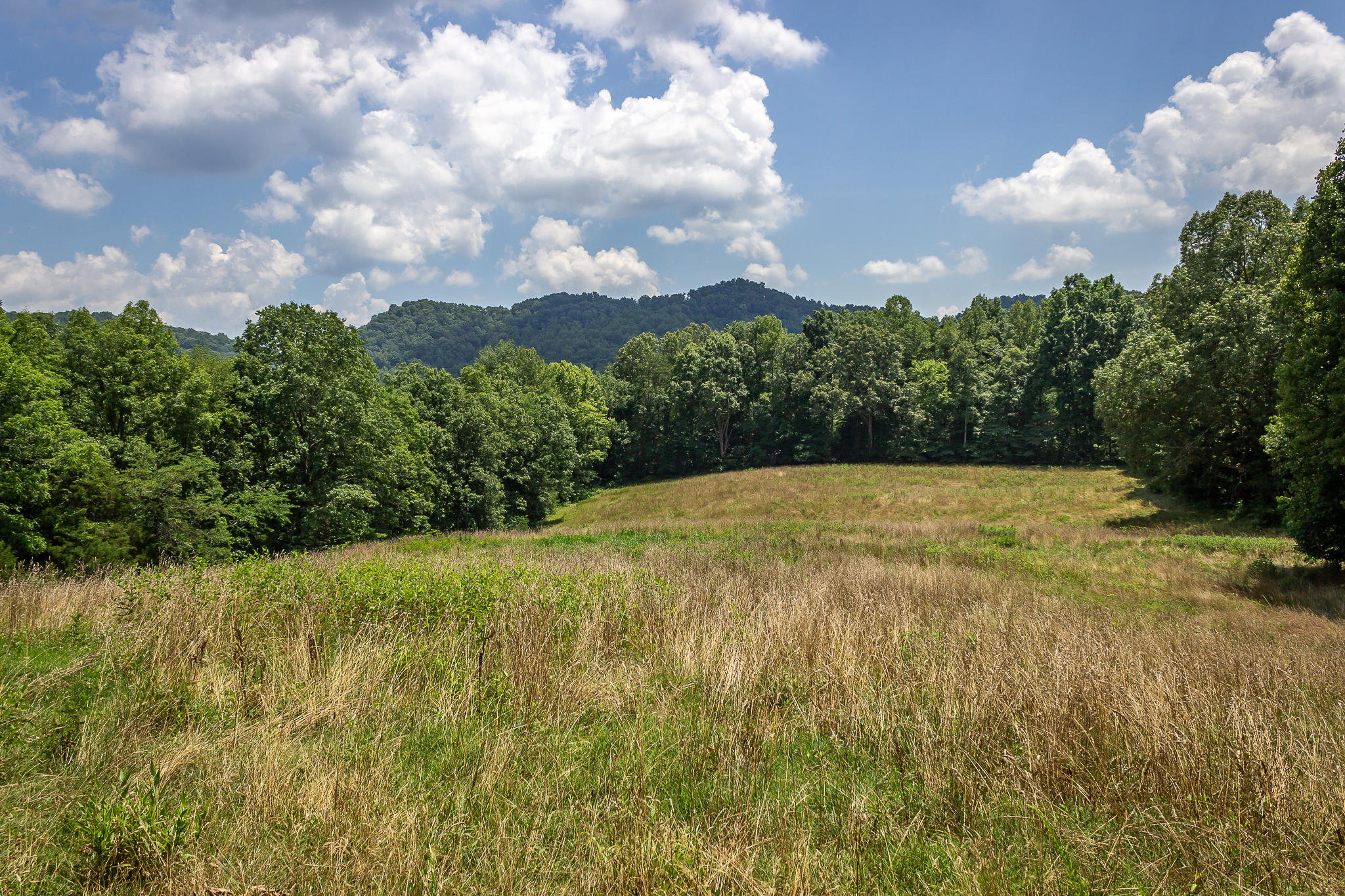 1448 Porter Johns Road Tazewell, TN 37879 - Photo 5 of 41 4