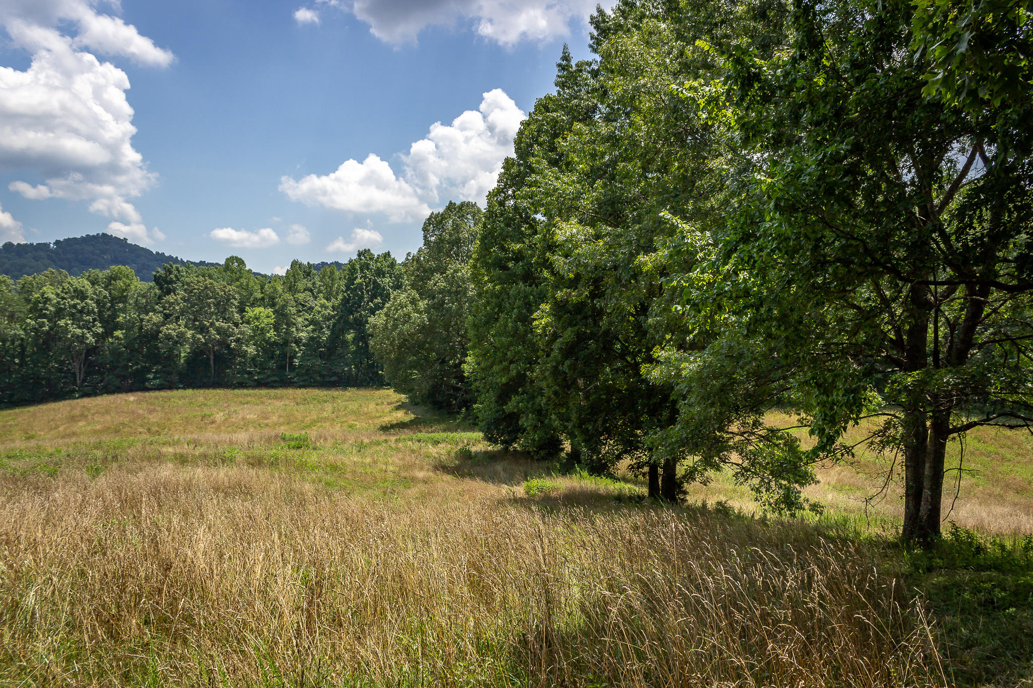 1448 Porter Johns Road Tazewell, TN 37879 - Photo 6 of 41 5