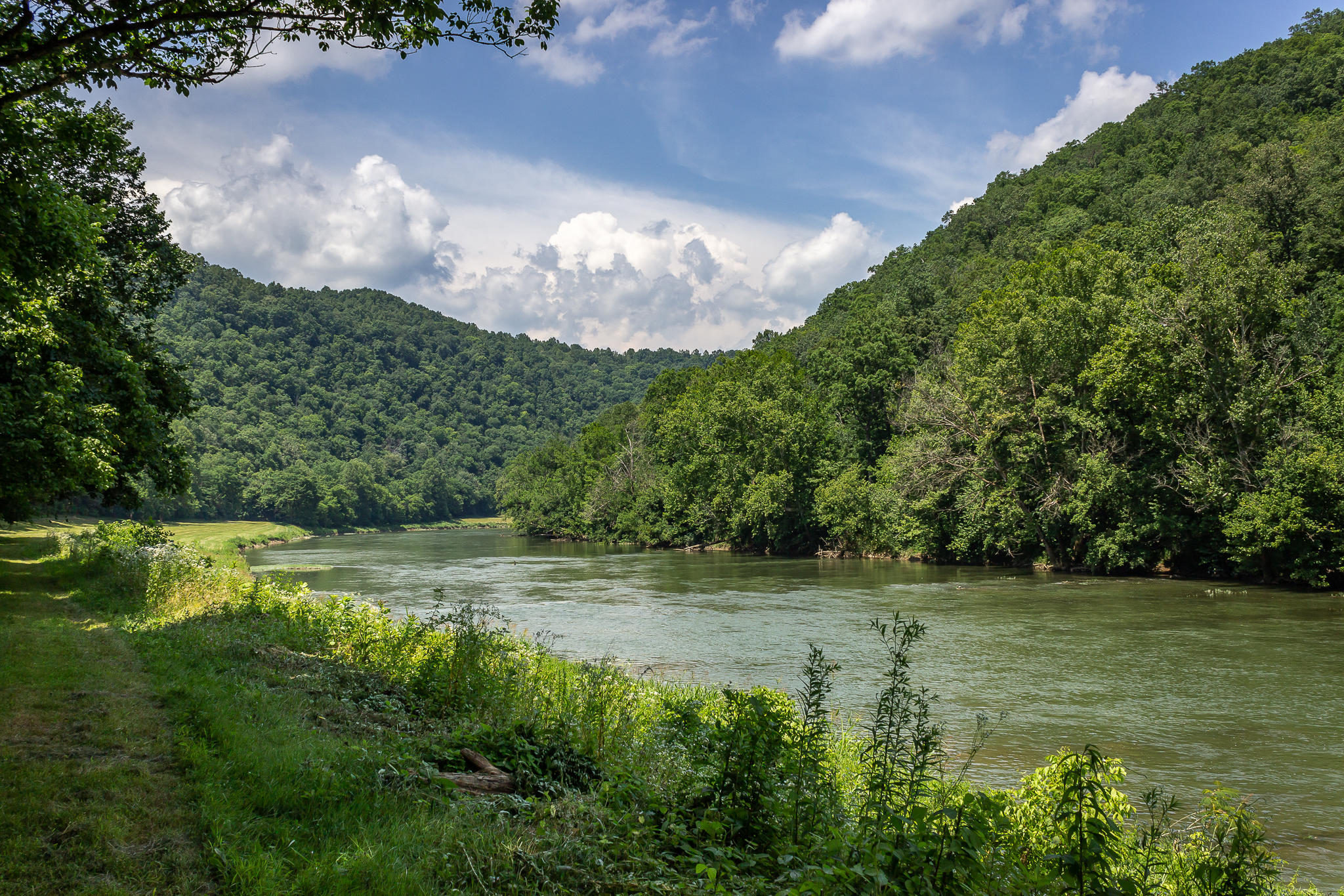 1448 Porter Johns Road Tazewell, TN 37879 - Photo 8 of 41 7