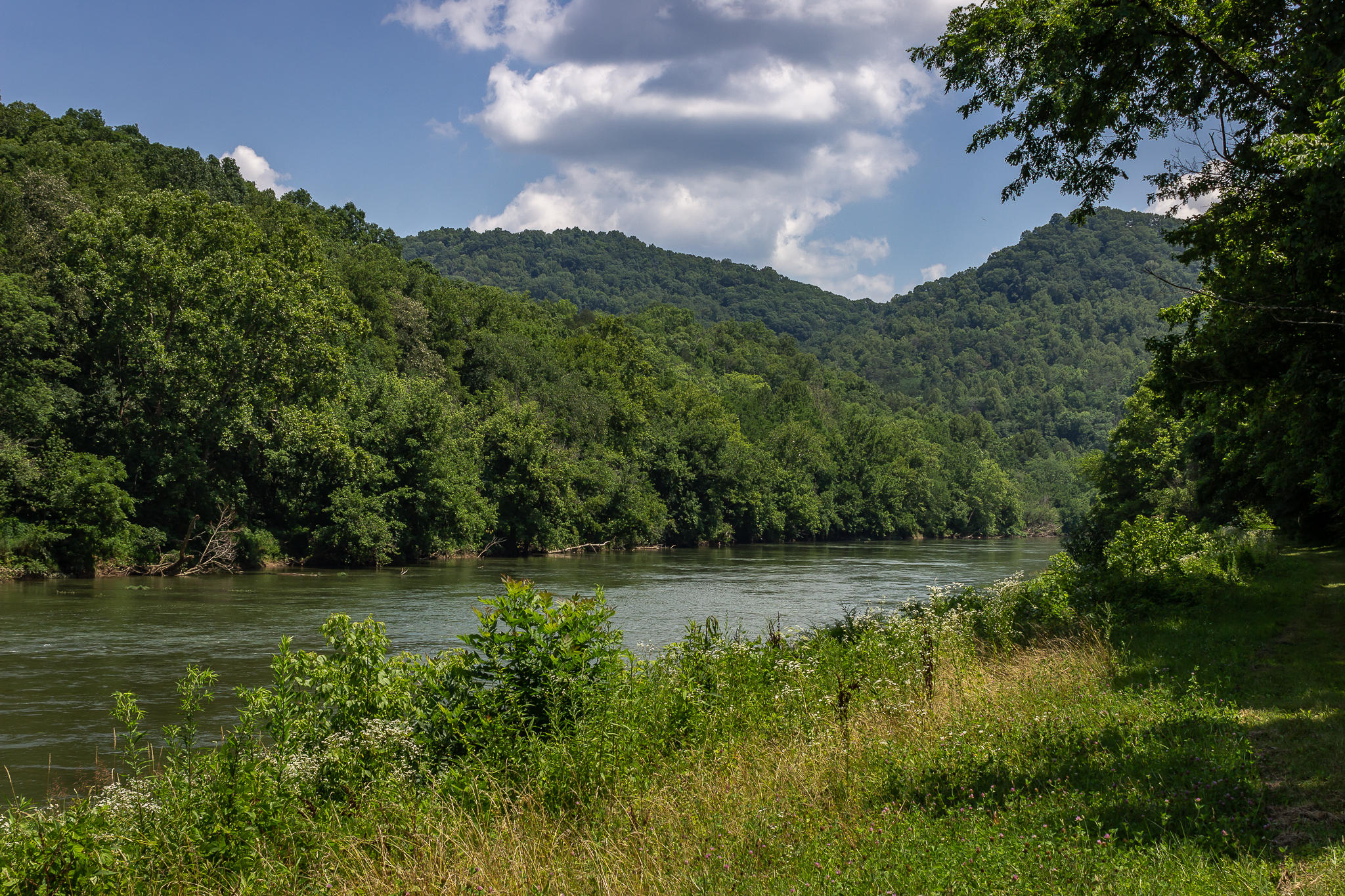 1448 Porter Johns Road Tazewell, TN 37879 - Photo 9 of 41 8