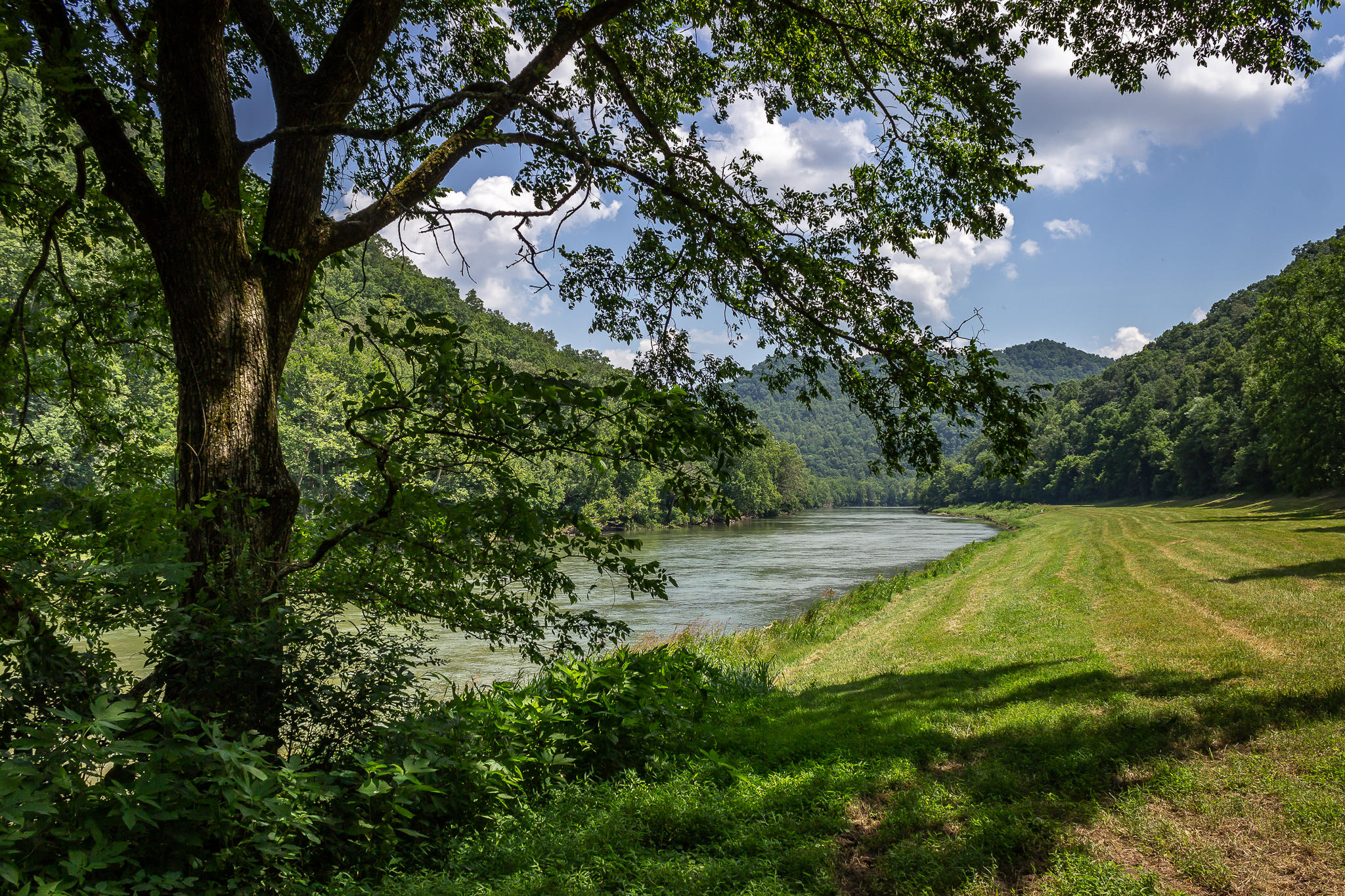 1448 Porter Johns Road Tazewell, TN 37879 - Photo 10 of 41 9