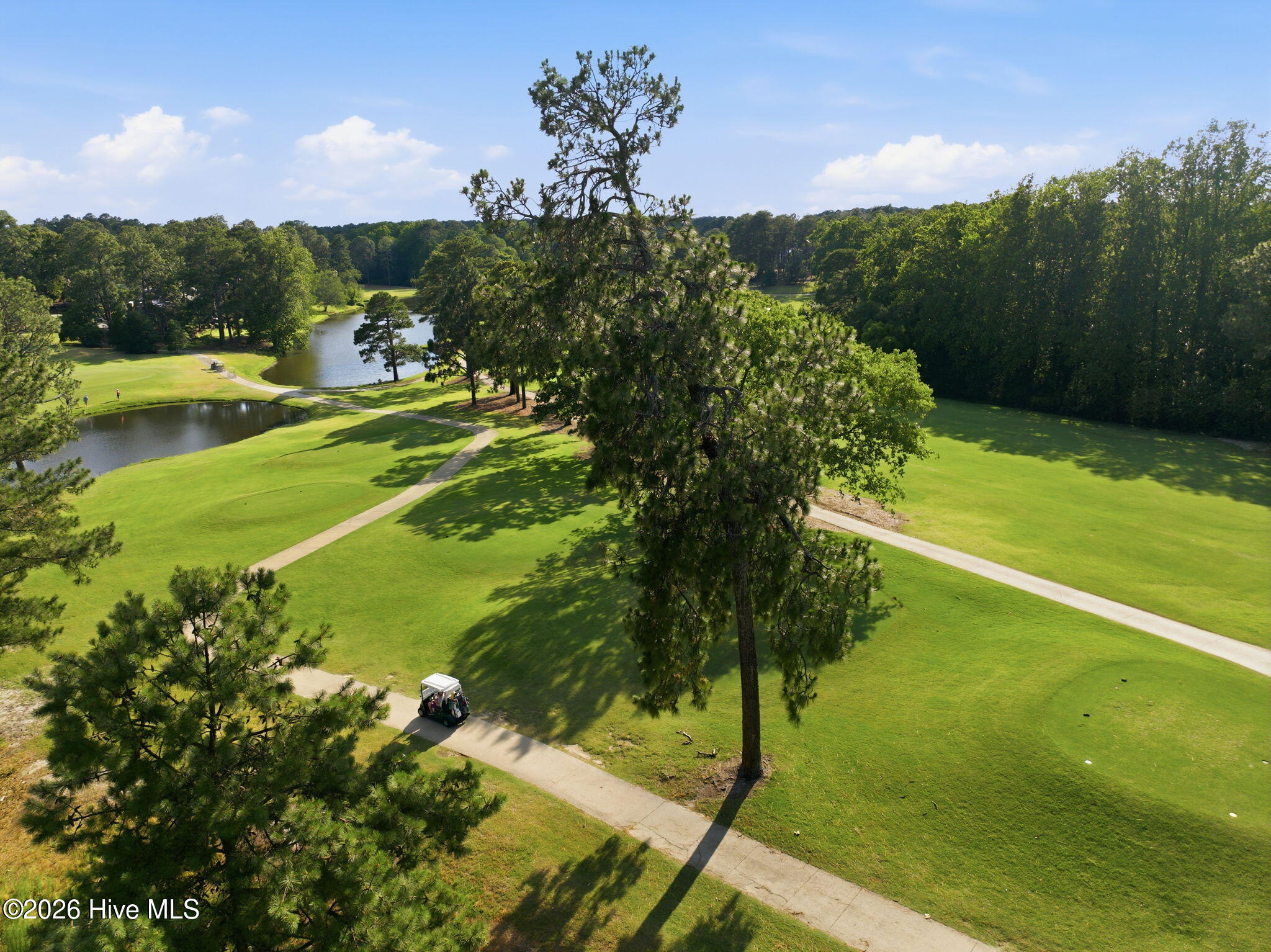 25 Turtle Point Road, Unit 1 Pinehurst, NC 28374 - Photo 5 of 63