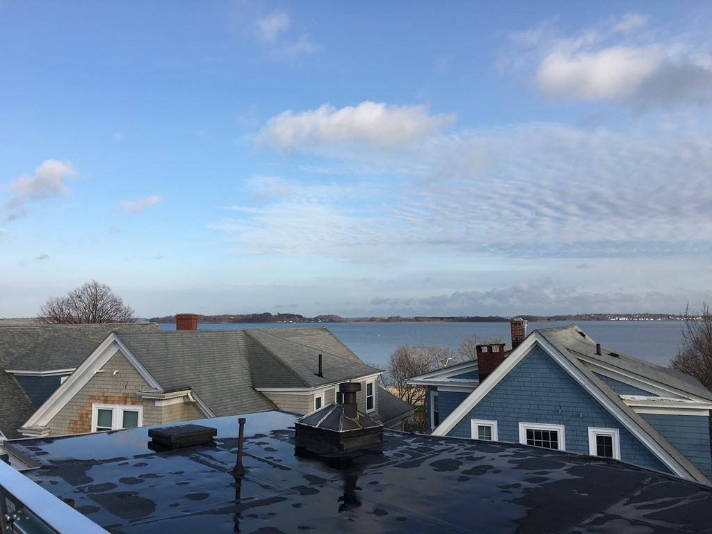 224 M Street, Unit 3 Boston, MA 02127 - Photo 18 of 18