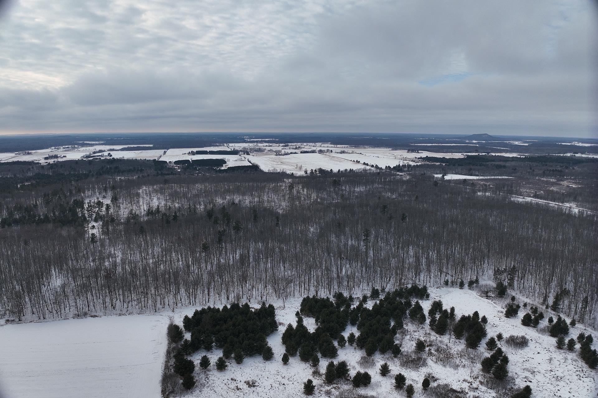 65.32-acres Bobwhite Road Neillsville, WI 54456 - Photo 9 of 26