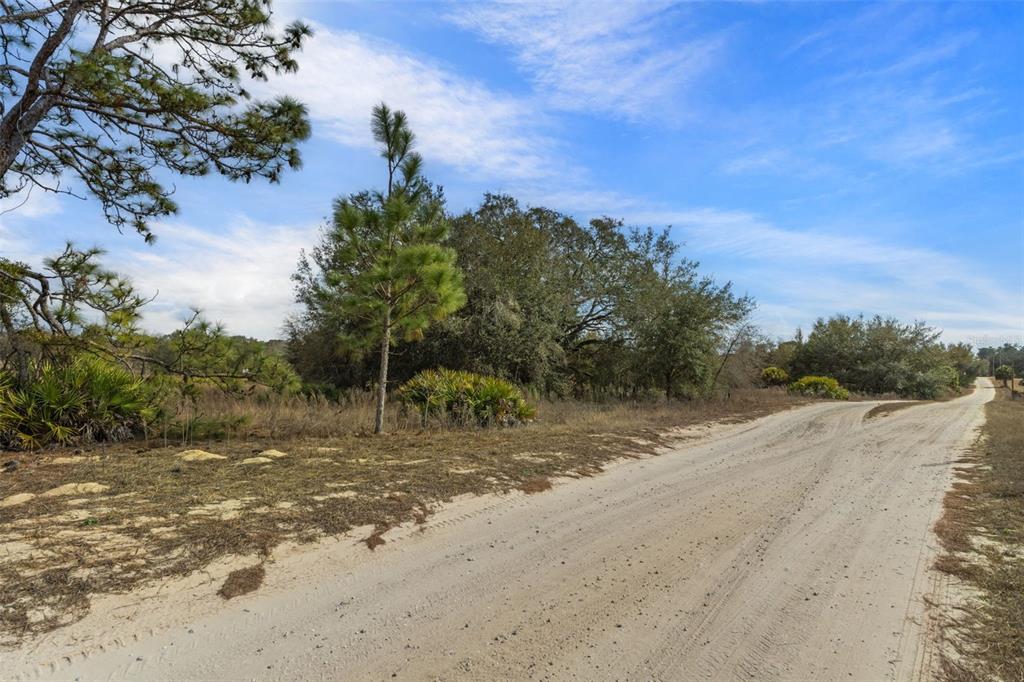 6725 South Rainbow Point Homosassa, FL 34446 - Photo 23 of 23