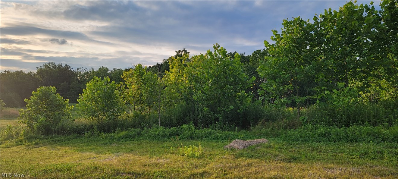 2 Hidden Ridge Road North Royalton, OH 44133 - Photo 5 of 13