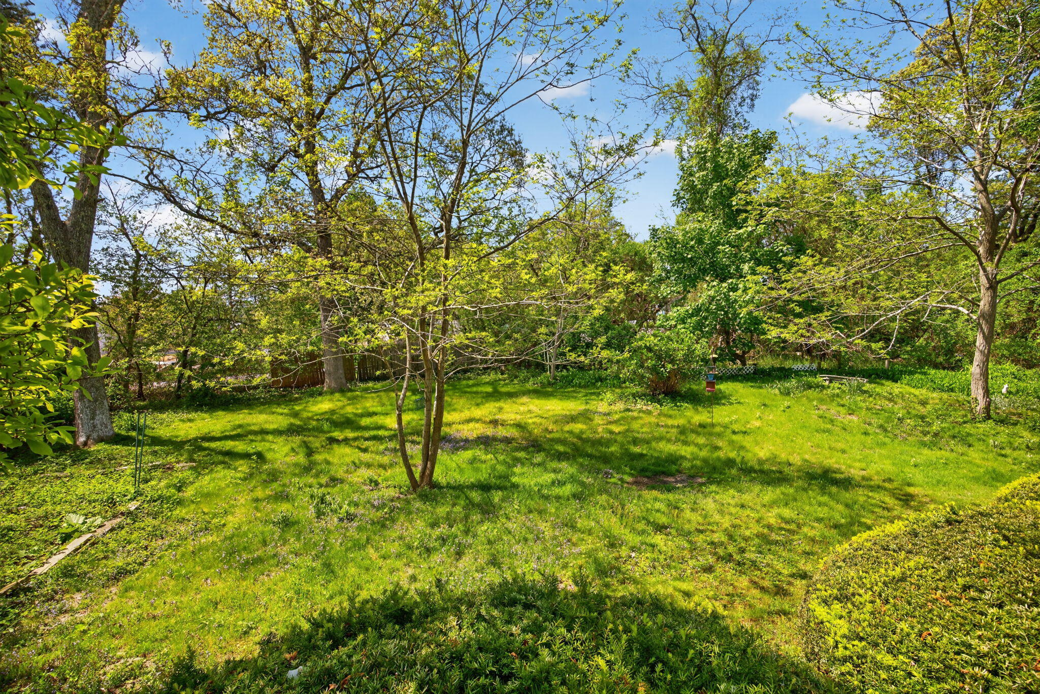 23 Nickerson Road Orleans, MA 02653 - Photo 34 of 54 a view of yard with green space