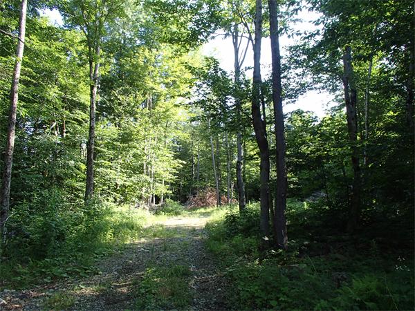 Lot 11 Ashfield Road Hawley, MA 01339 - Photo 14 of 17 Gallery Image 14