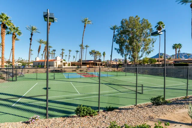 a view of a park with big trees