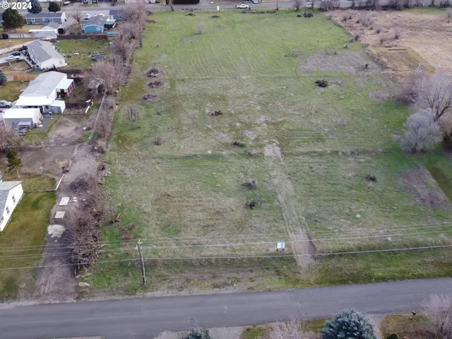 a view of a dry yard
