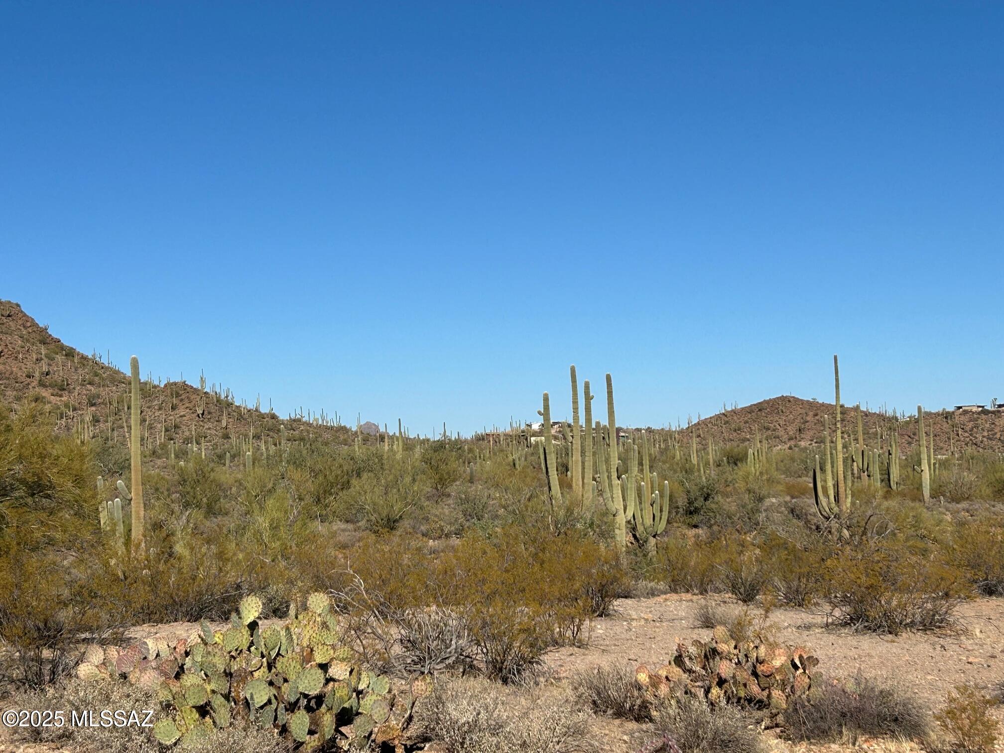 4146 North Gerhart Road Tucson, AZ 85745 - Photo 11 of 18 Gallery Image 11