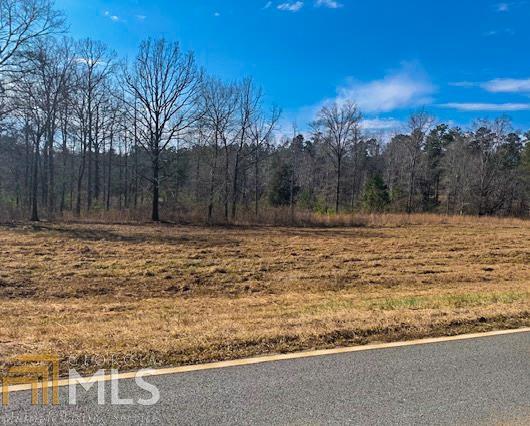 0 Mike Powers Road Grantville, GA 30220 - Photo 1 of 1 Gallery Image 1