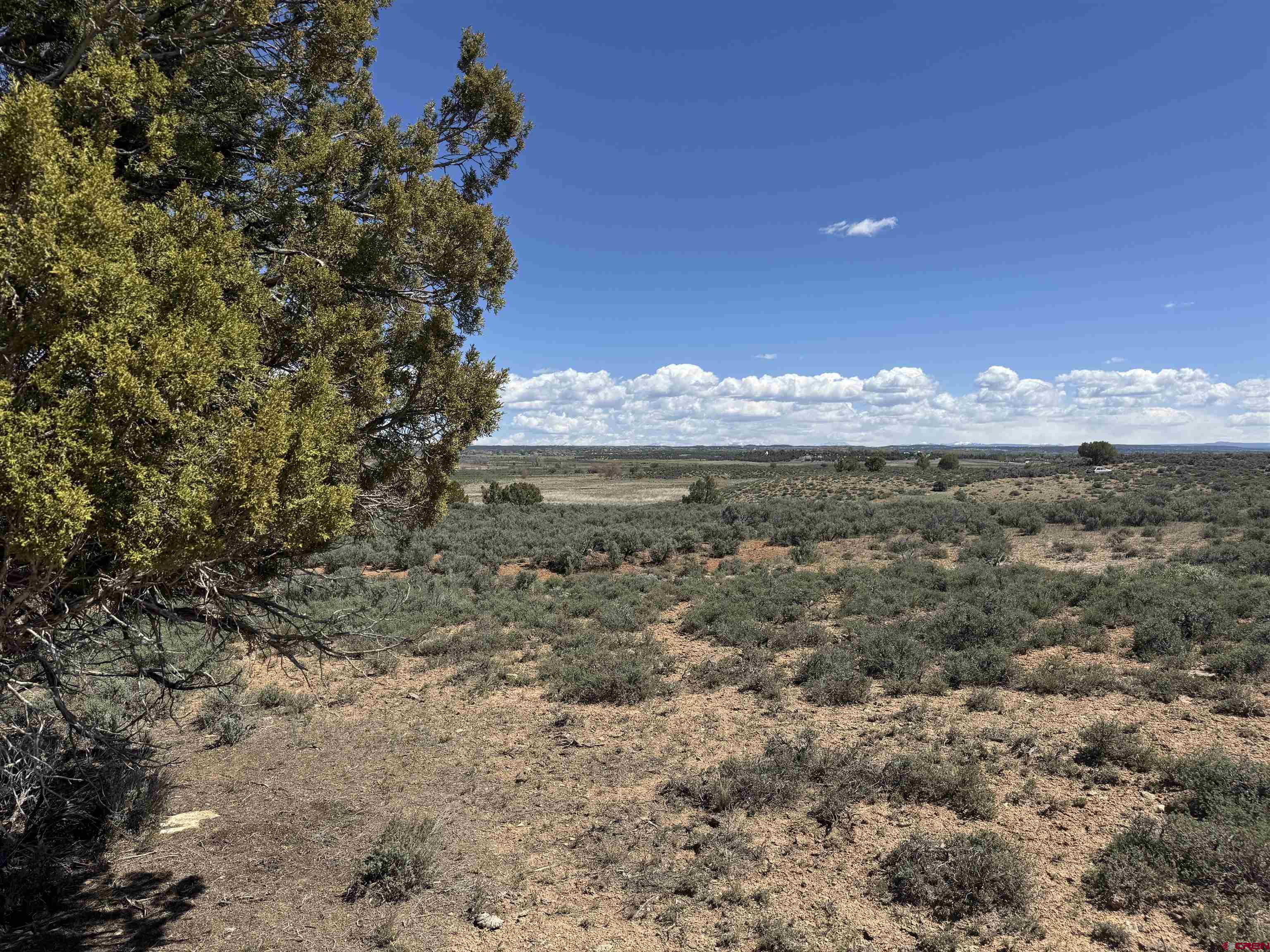22 Road 22 Cortez, CO 81321 - Photo 2 of 5