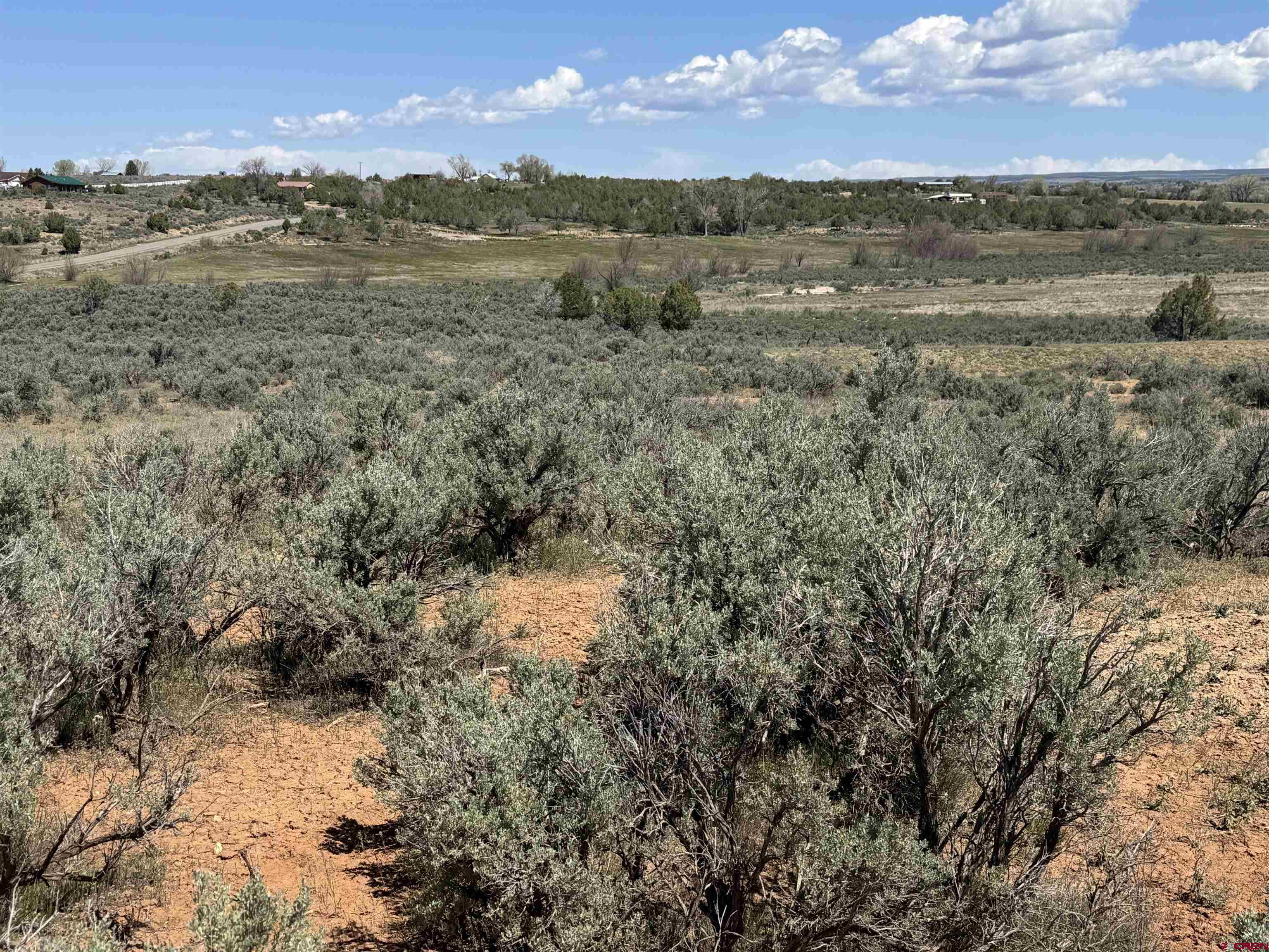 22 Road 22 Cortez, CO 81321 - Photo 4 of 5
