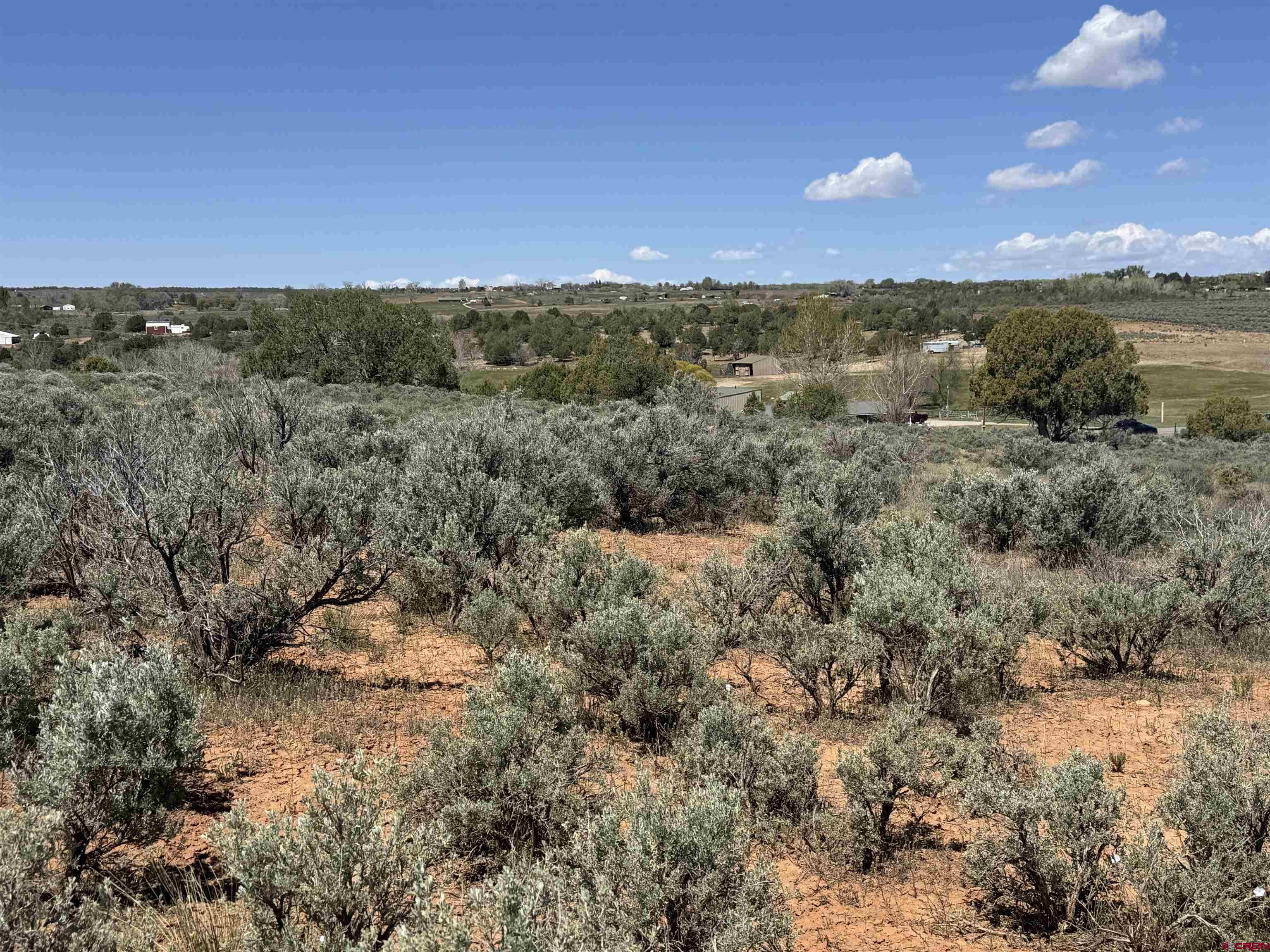 22 Road 22 Cortez, CO 81321 - Photo 5 of 5