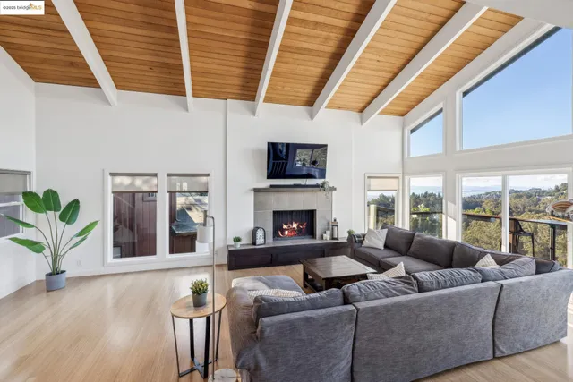 a living room with furniture a fireplace a potted plant and a large window