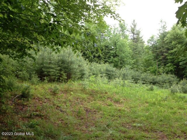 116 Forest Lake Road Warrensburg, NY 12817 - Photo 2 of 10 bldg site