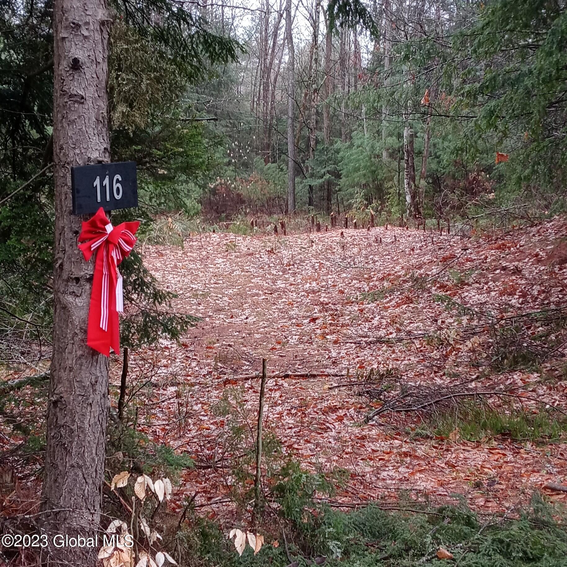 116 Forest Lake Road Warrensburg, NY 12817 - Photo 4 of 10 0417231112_2